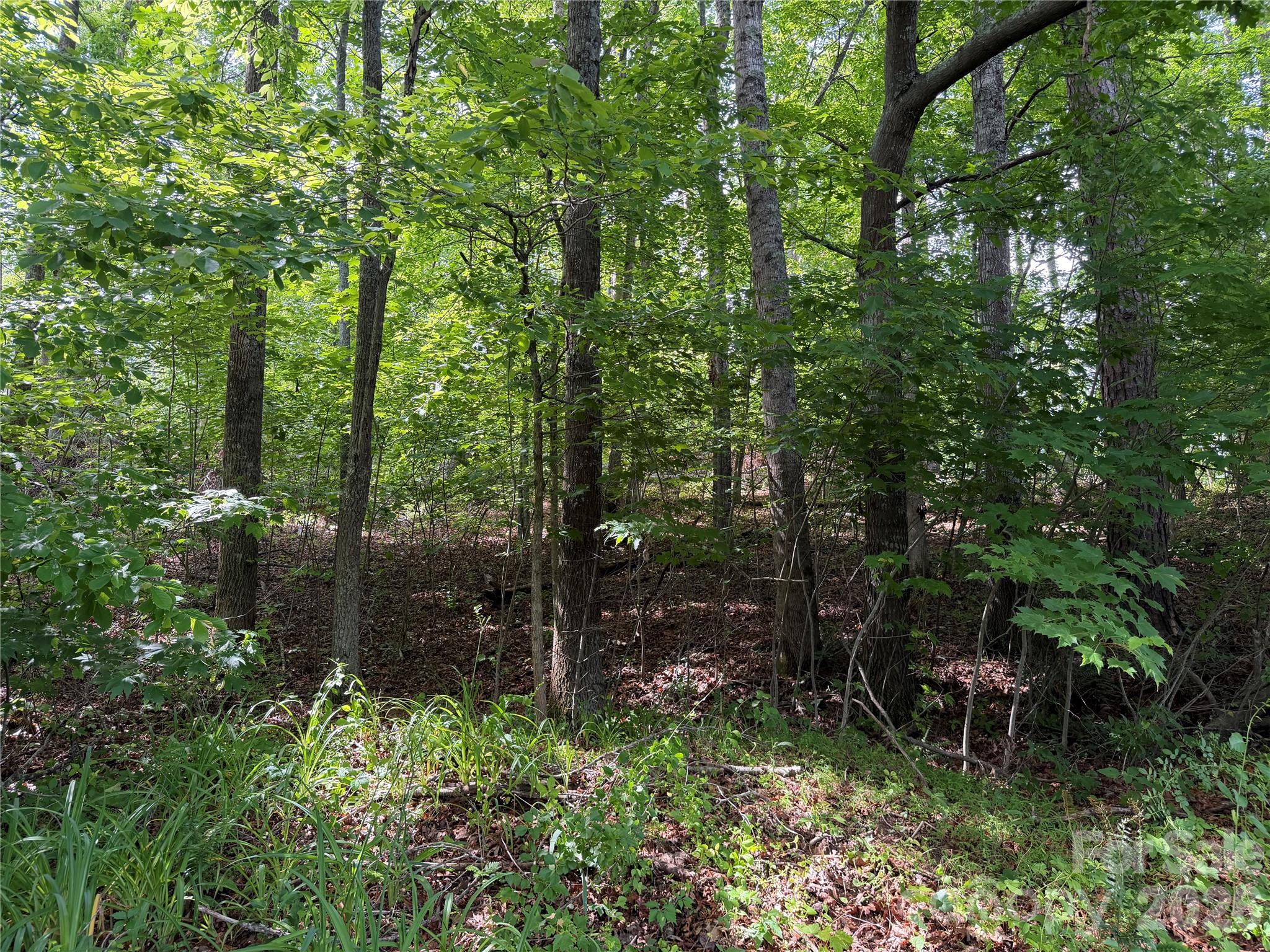 351 Mag Sluder Road Alexander, NC 28701 - Photo 41 of 48