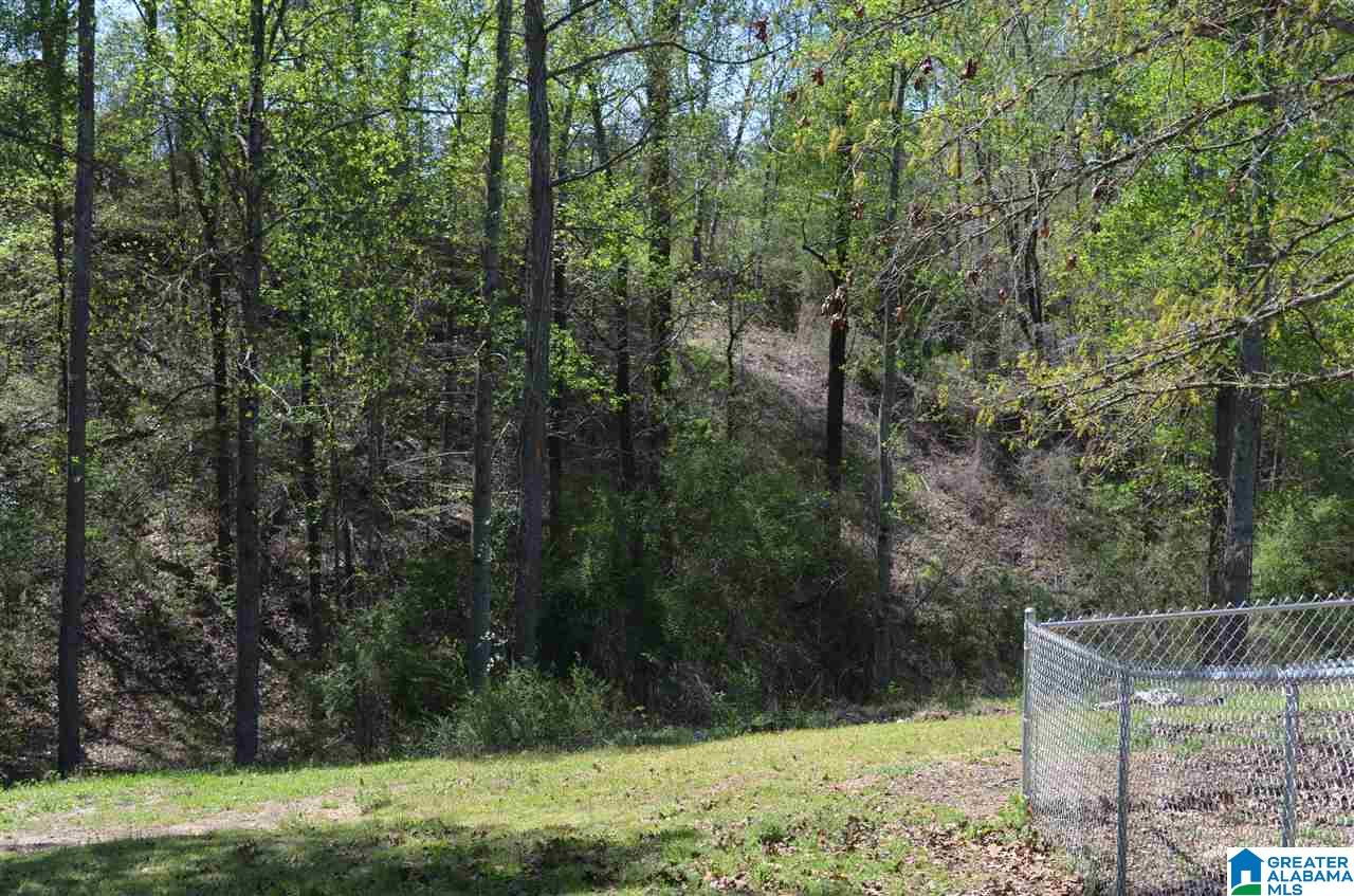 145 McClendon Drive Ragland, AL 35131 - Photo 4 of 16