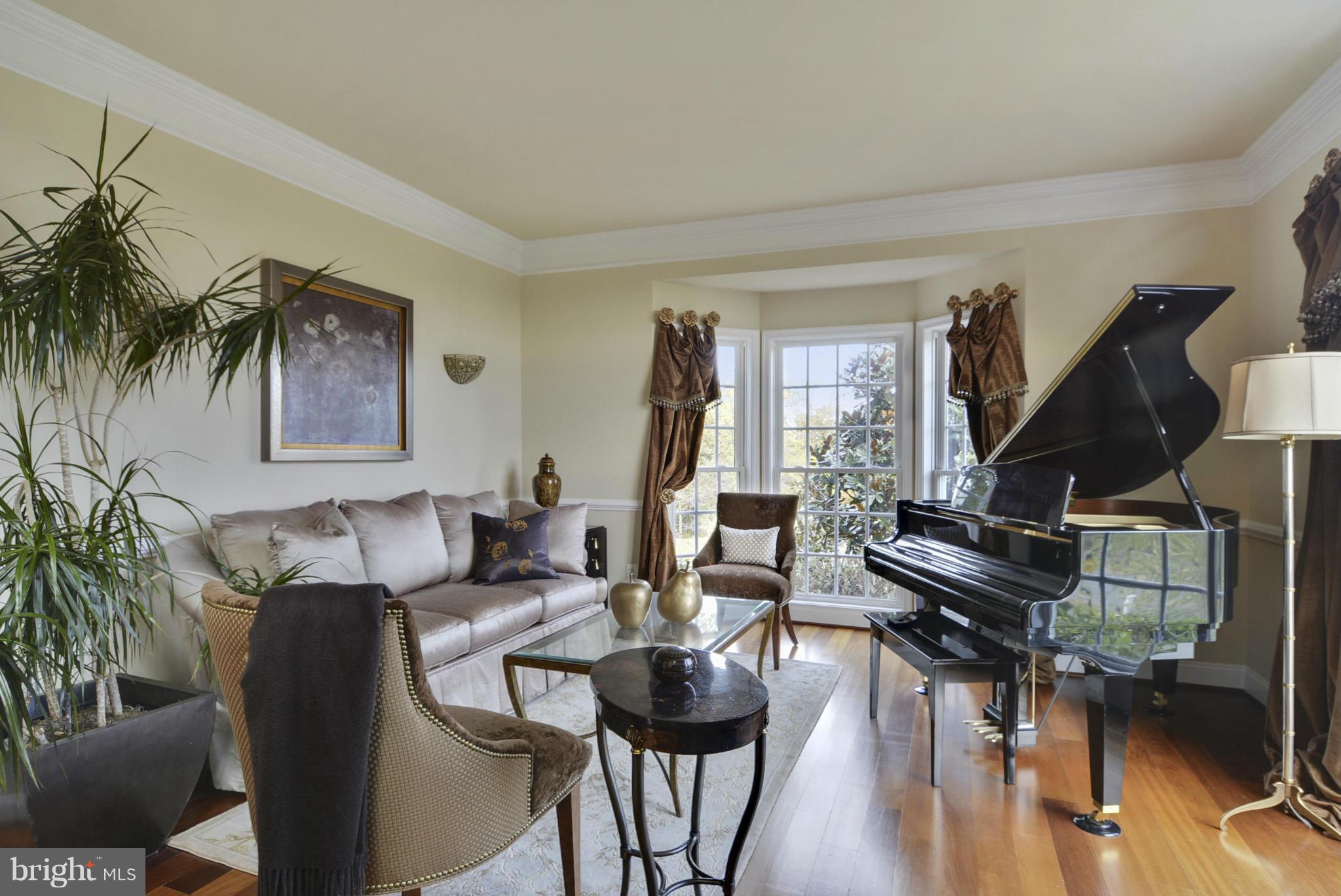 17397 Count Turf Place Leesburg, VA 20176 - Photo 13 of 30 Living Room