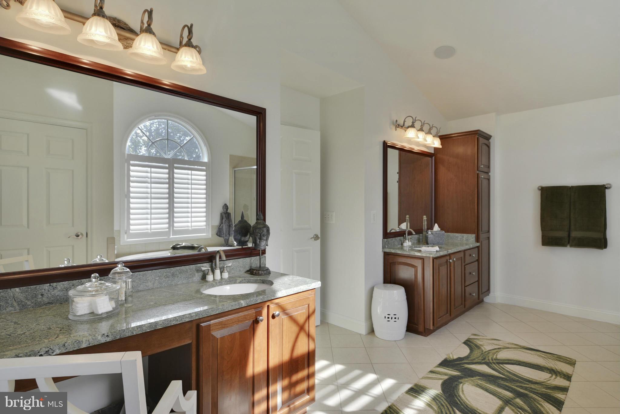 17397 Count Turf Place Leesburg, VA 20176 - Photo 18 of 30 Bath (Master)