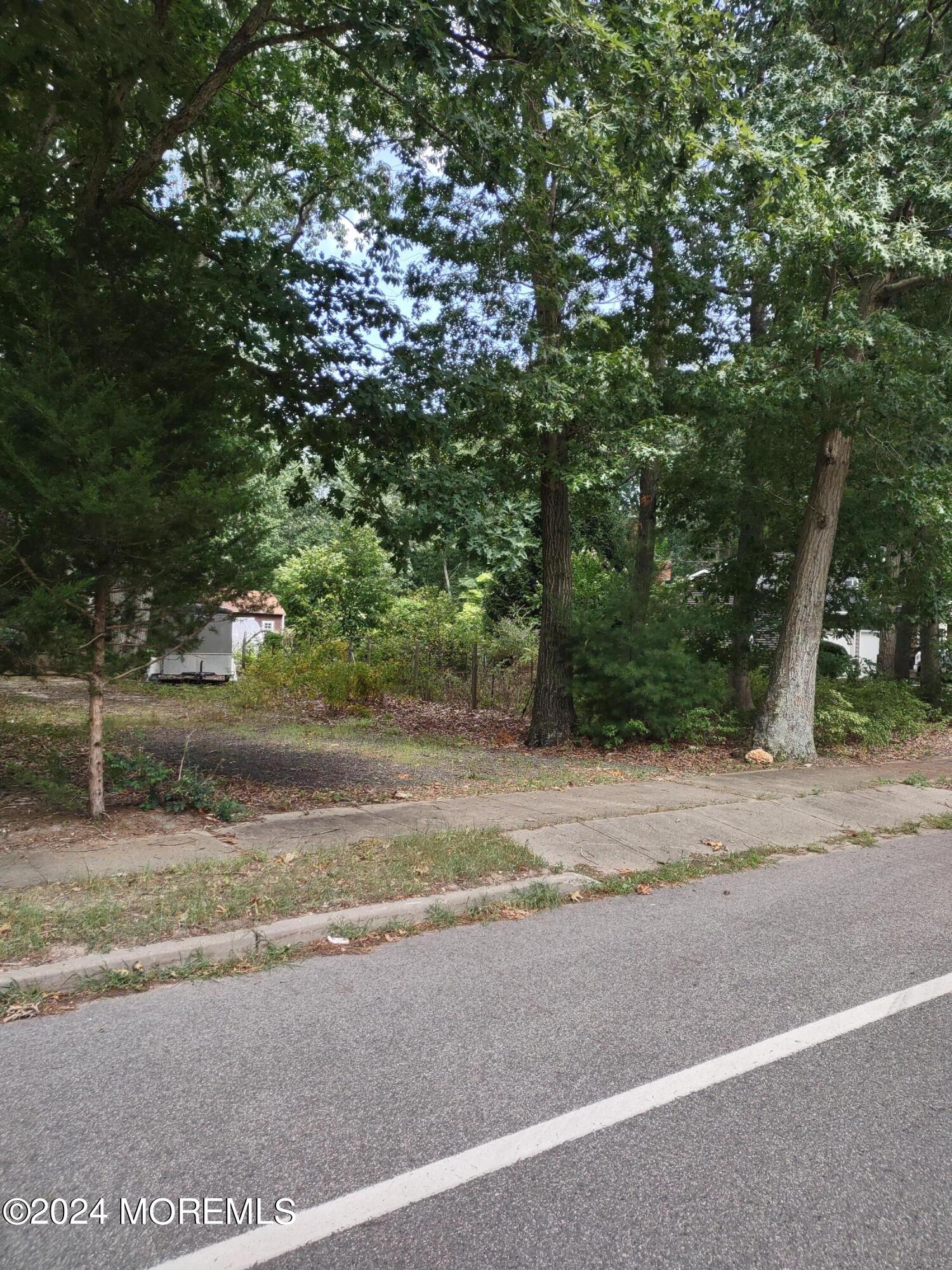 37 Butterfly Road Jackson, NJ 08527 - Photo 12 of 14 a view of road with trees