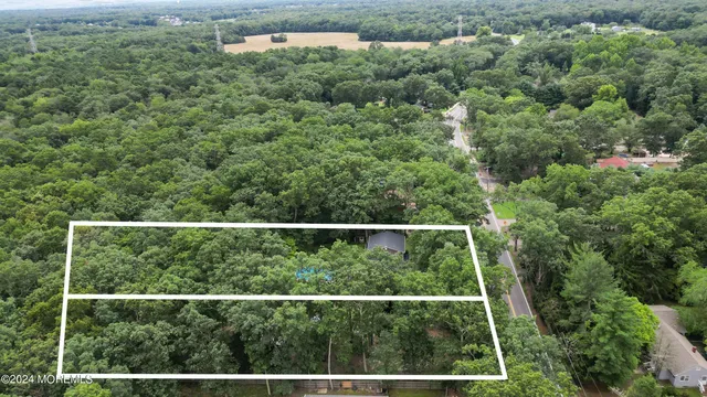 a view of a forest from a window