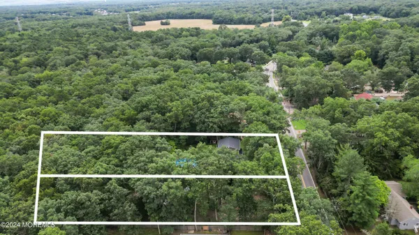 a view of a forest from a window