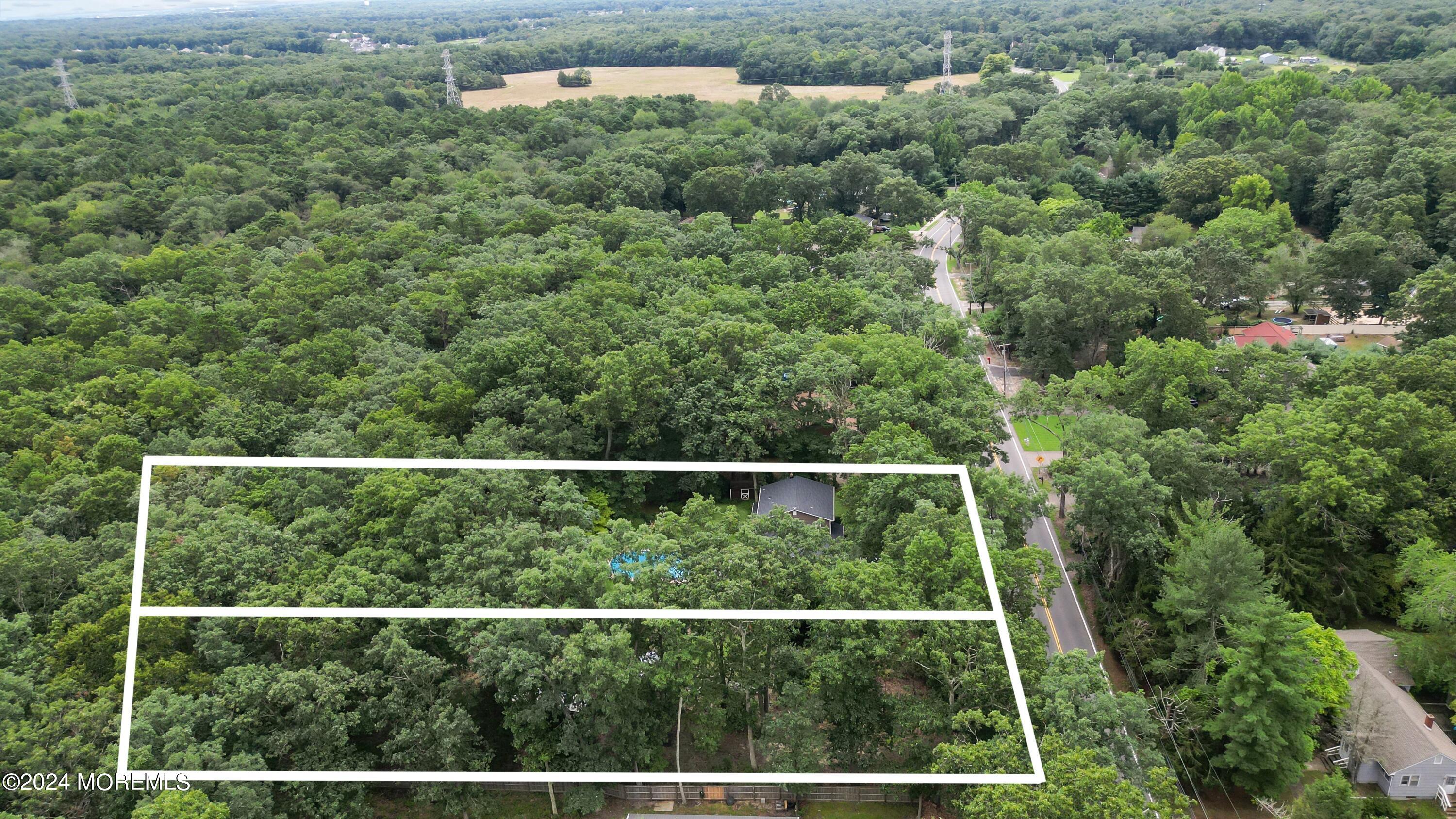 37 Butterfly Road Jackson, NJ 08527 - Photo 9 of 14 a view of a forest from a window