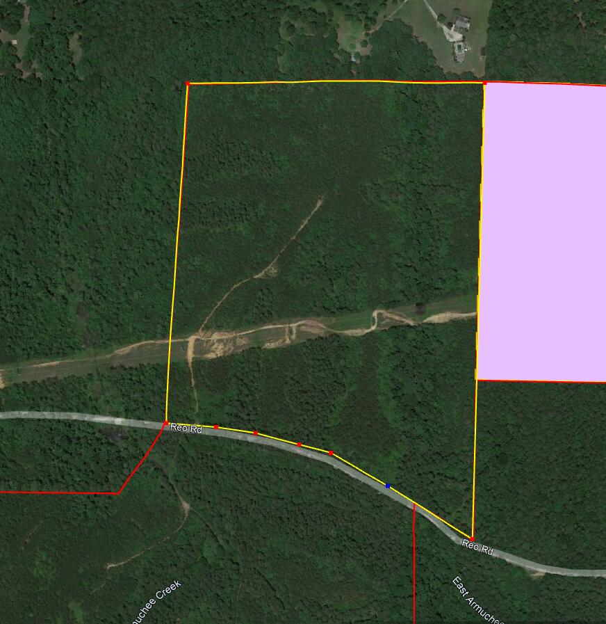 0 Reo Road Rocky Face, GA 30740 - Photo 1 of 5 9717 Reo Rd 52 acres