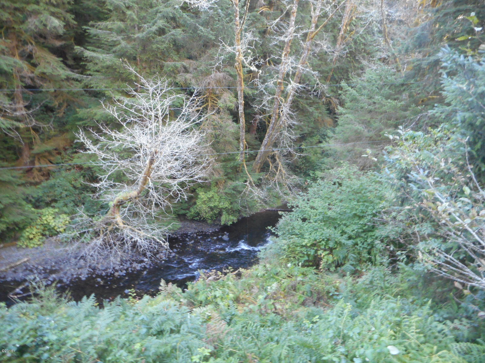 4306 South Schooner Creek Road Lincoln City, OR 97367 - Photo 21 of 22 River frontage