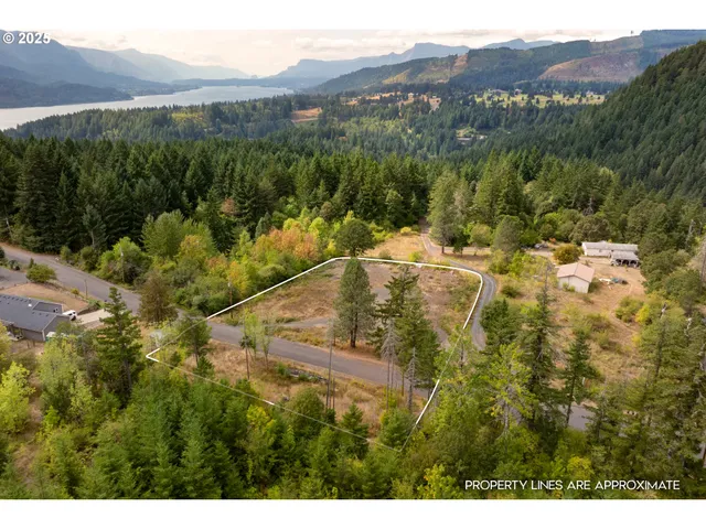 a view of a house with a mountain