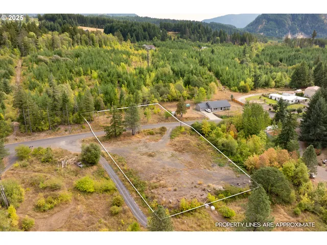 a view of a yard with large trees