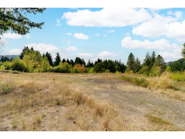 a view of a yard and mountain