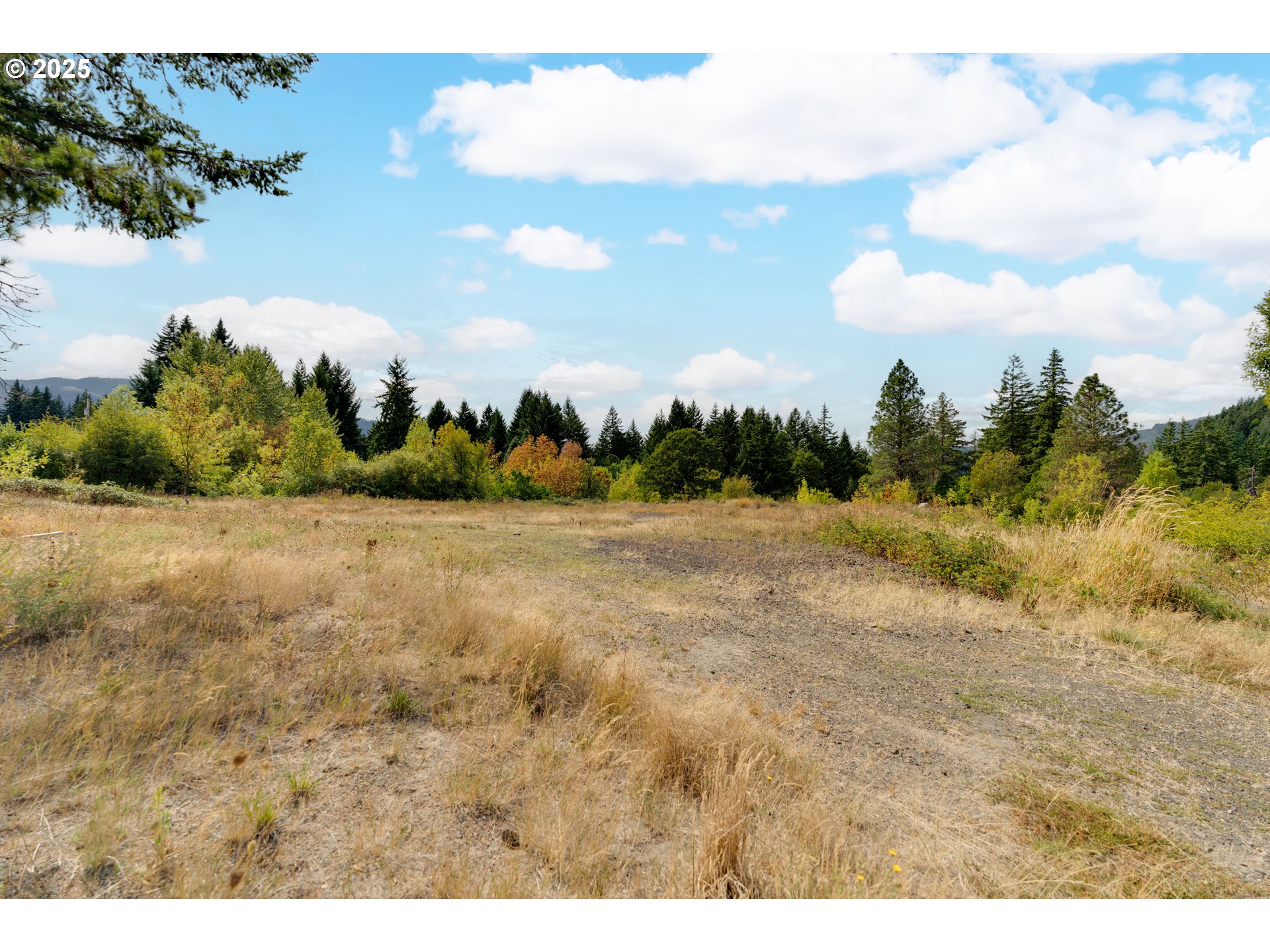 21 Cochran Lane Stevenson, WA 98648 - Photo 6 of 15 a view of a yard and mountain