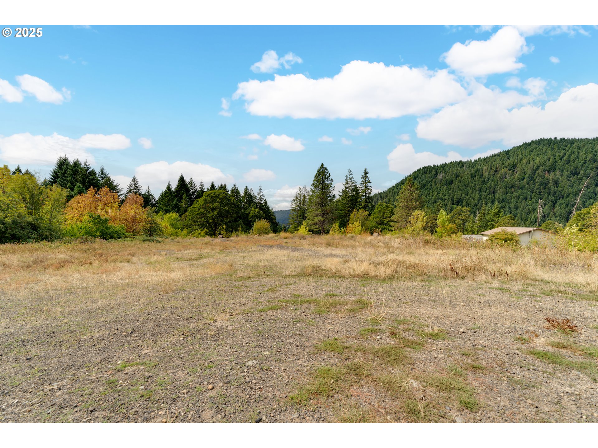 21 Cochran Lane Stevenson, WA 98648 - Photo 7 of 15 a view of a yard