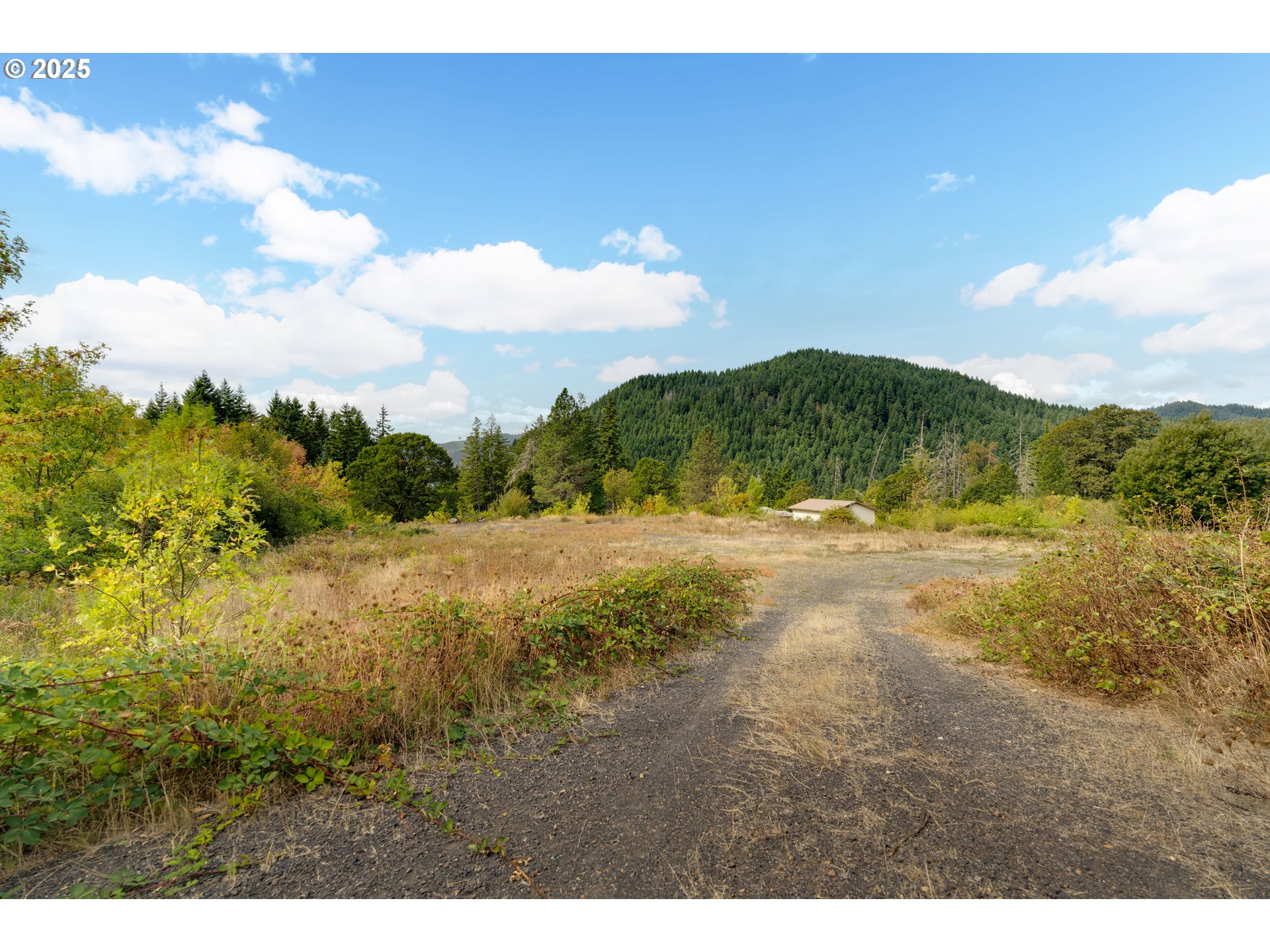 21 Cochran Lane Stevenson, WA 98648 - Photo 8 of 15 a view of lake view and mountain view