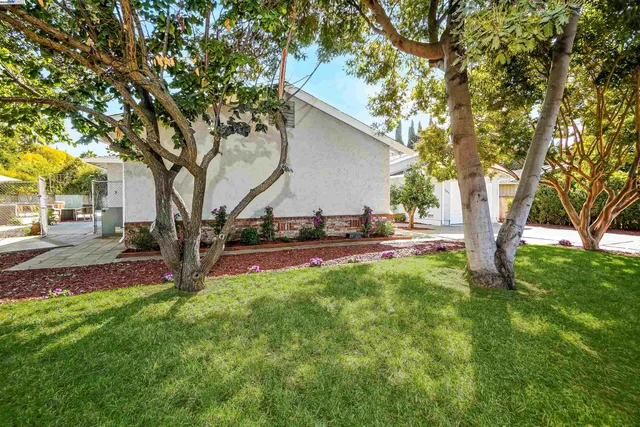 a view of a garden with flowers and trees