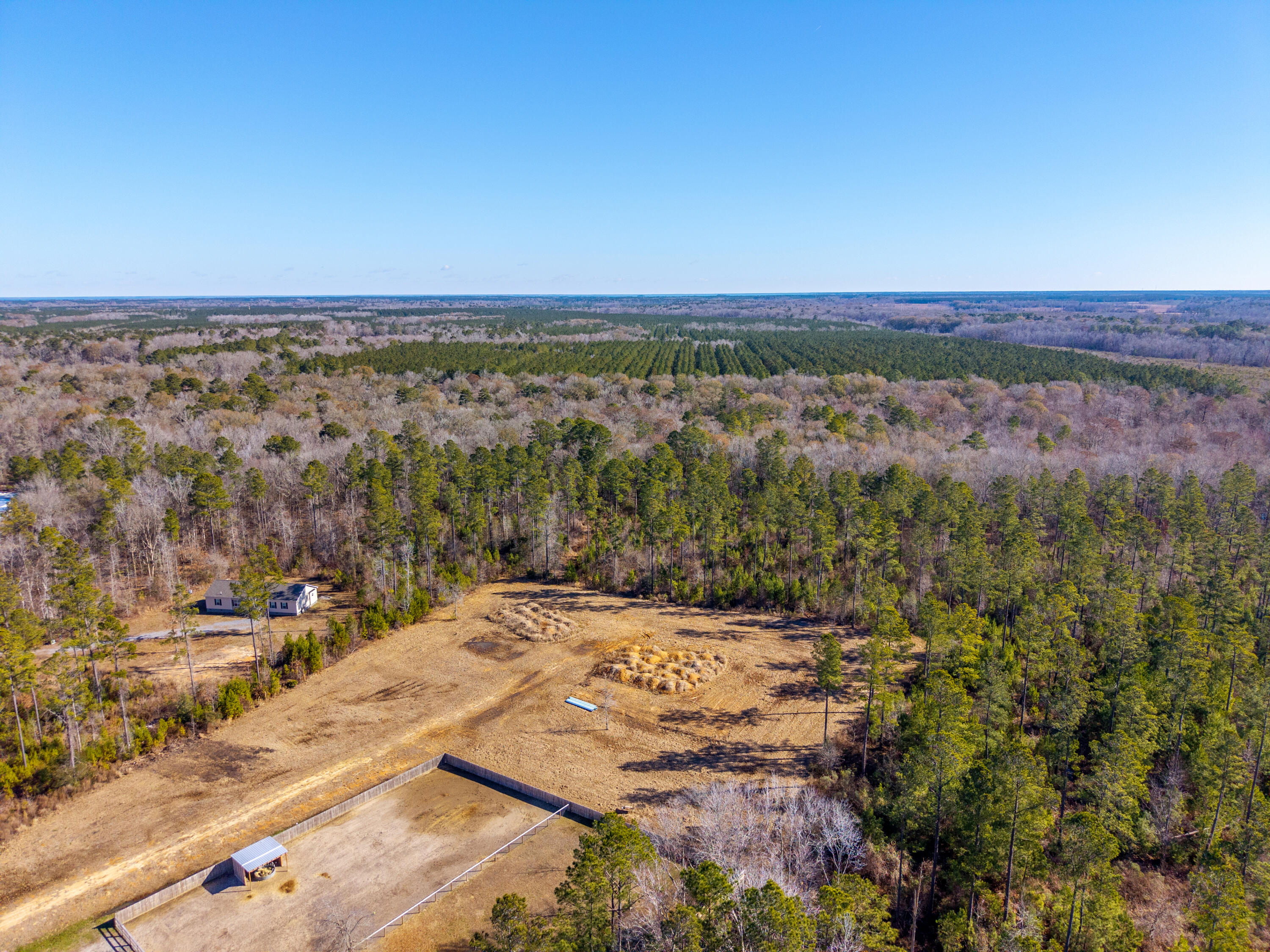 V/l Calamus Pond Road Summerville, SC 29486 - Photo 20 of 34 0 Calamus Pond Rd
