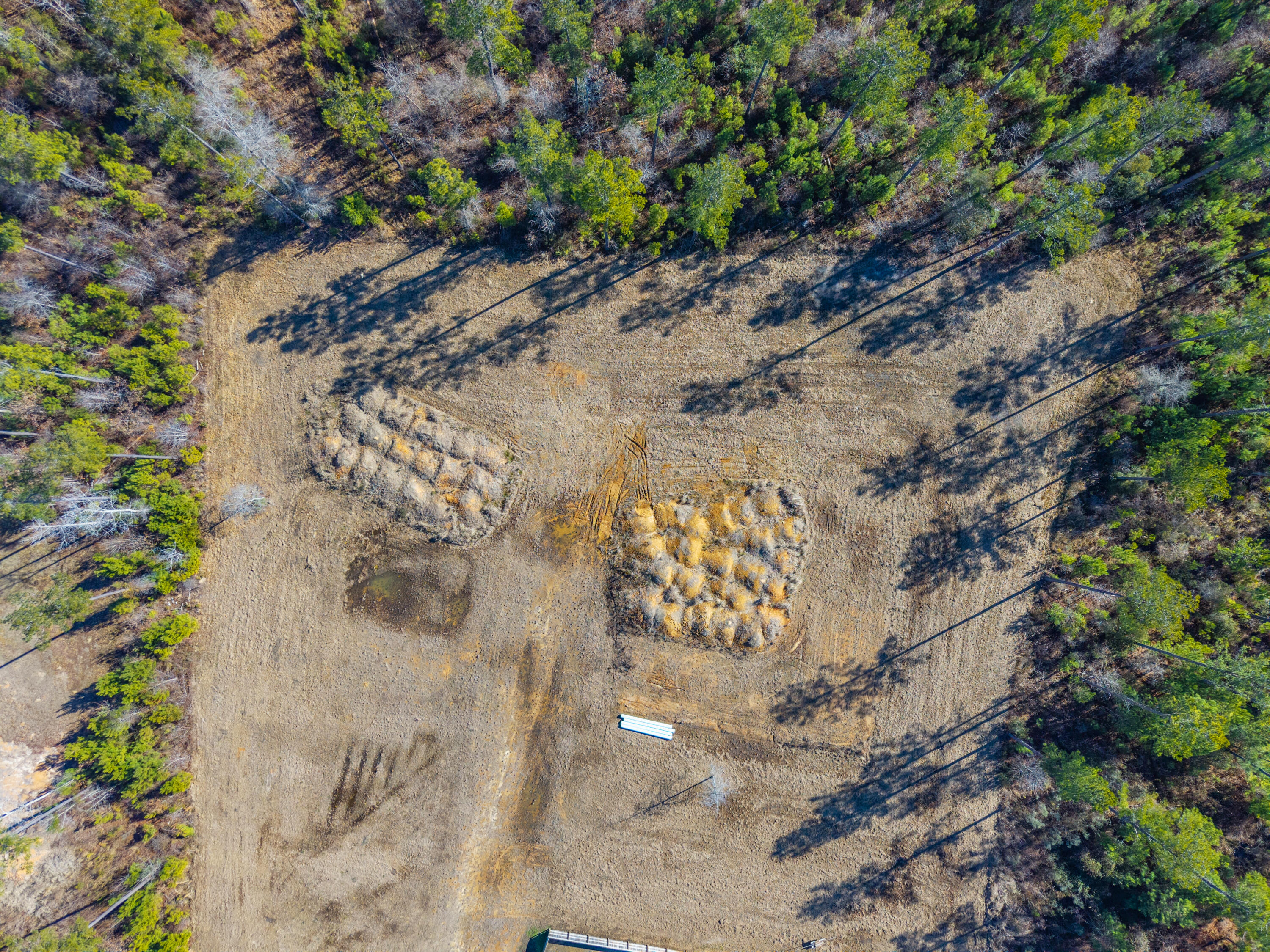 V/l Calamus Pond Road Summerville, SC 29486 - Photo 26 of 34 0 Calamus Pond Rd