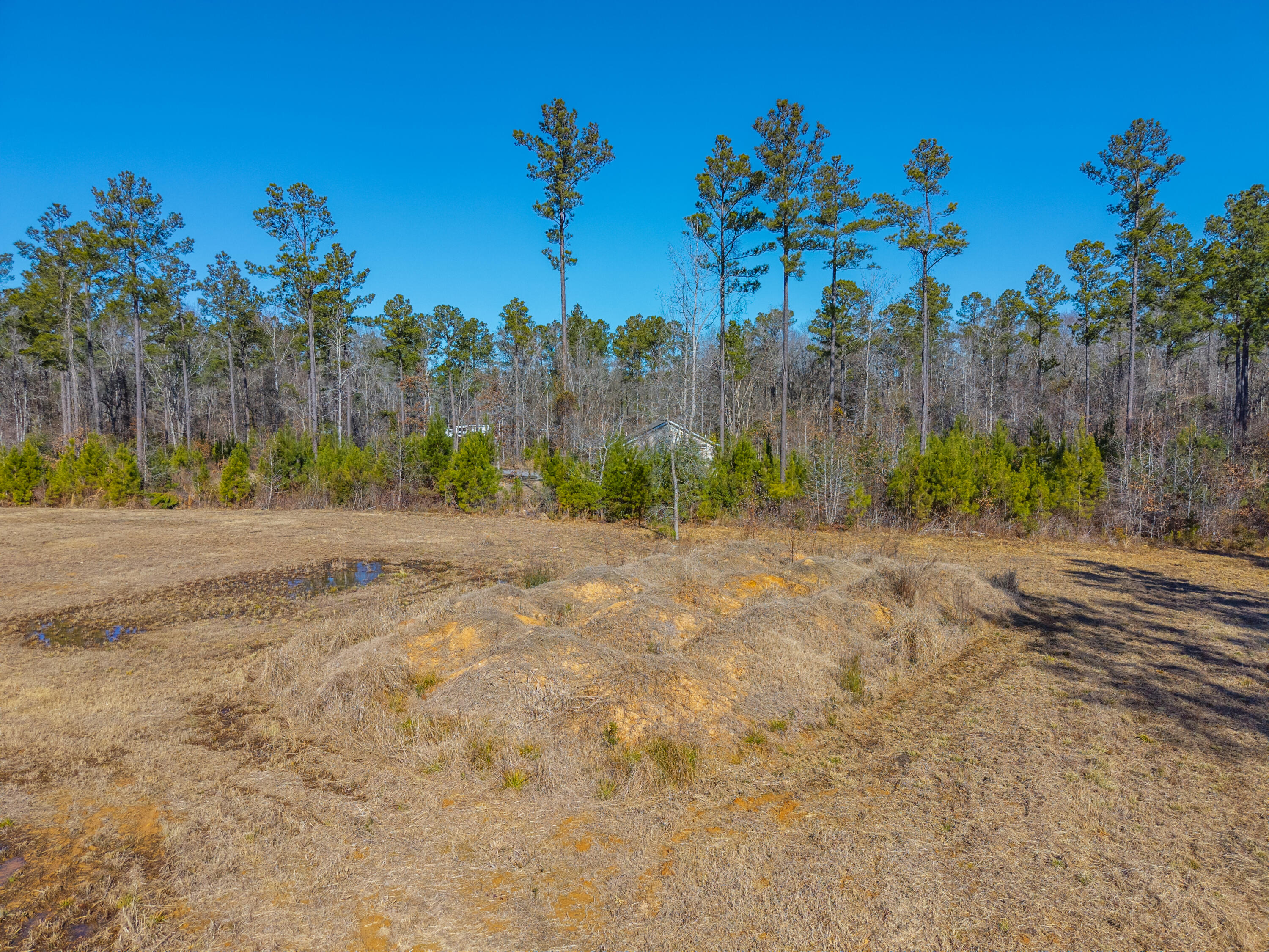 V/l Calamus Pond Road Summerville, SC 29486 - Photo 27 of 34 0 Calamus Pond Rd