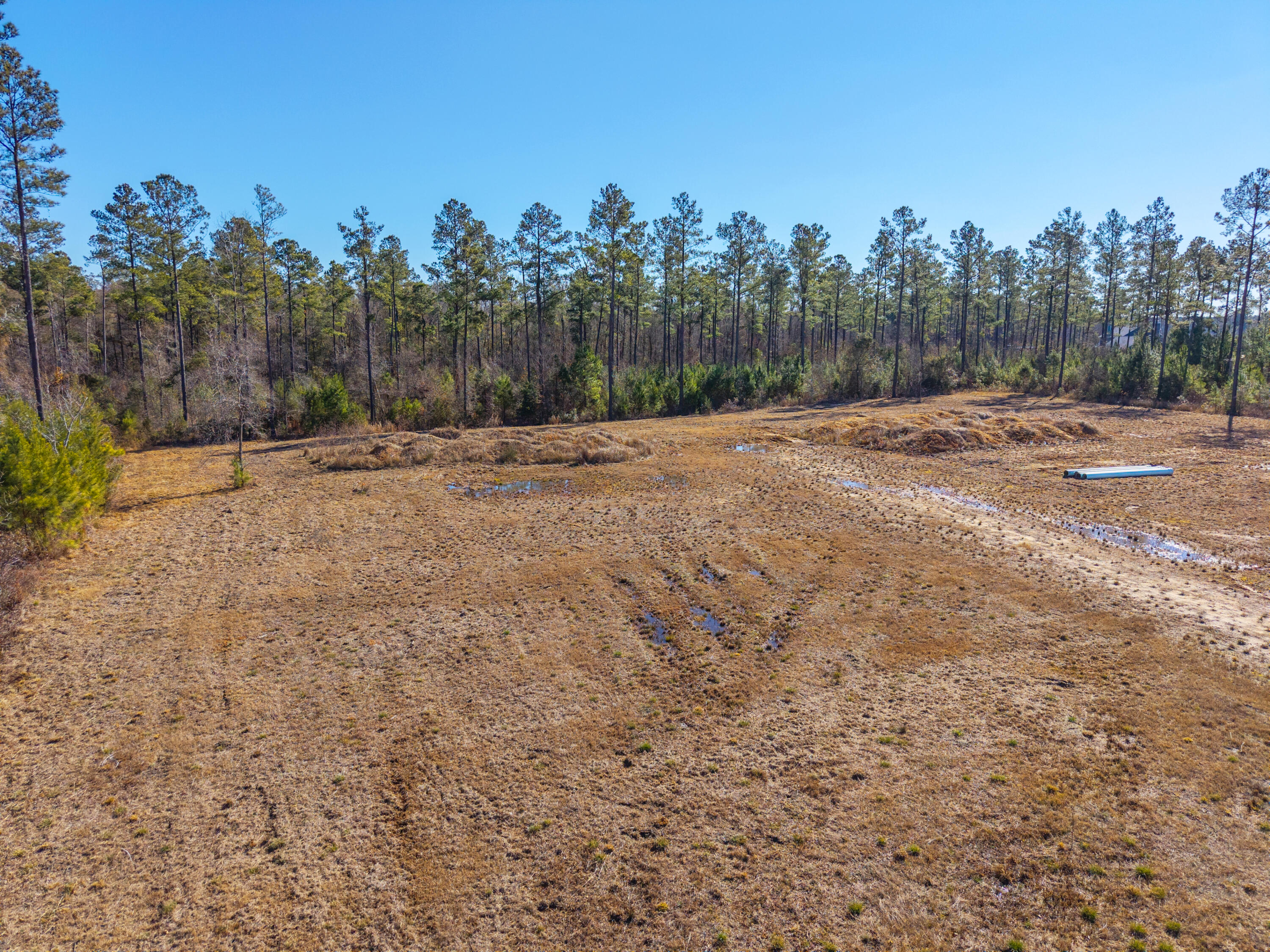 V/l Calamus Pond Road Summerville, SC 29486 - Photo 32 of 34 0 Calamus Pond Rd
