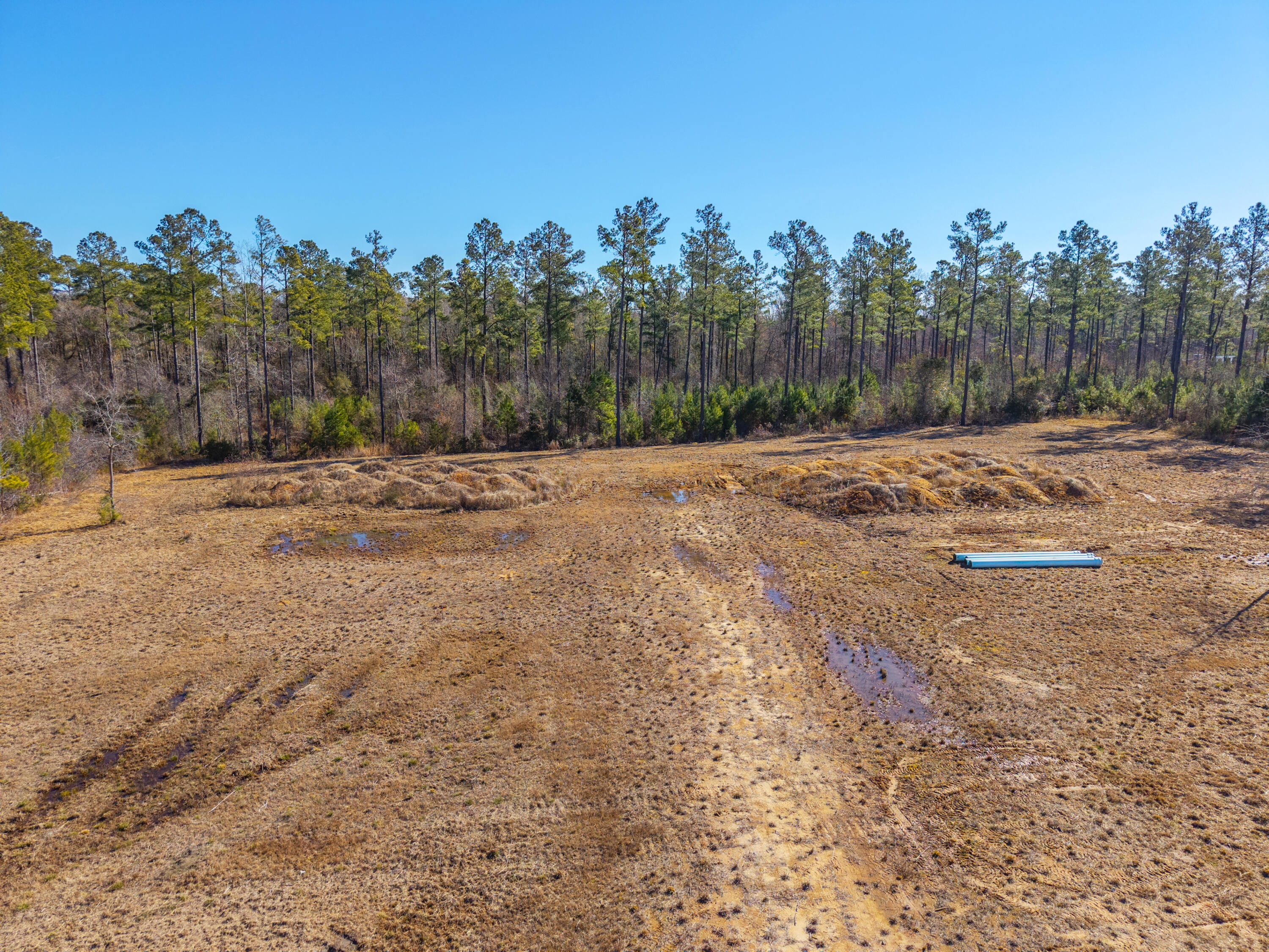V/l Calamus Pond Road Summerville, SC 29486 - Photo 33 of 34 0 Calamus Pond Rd