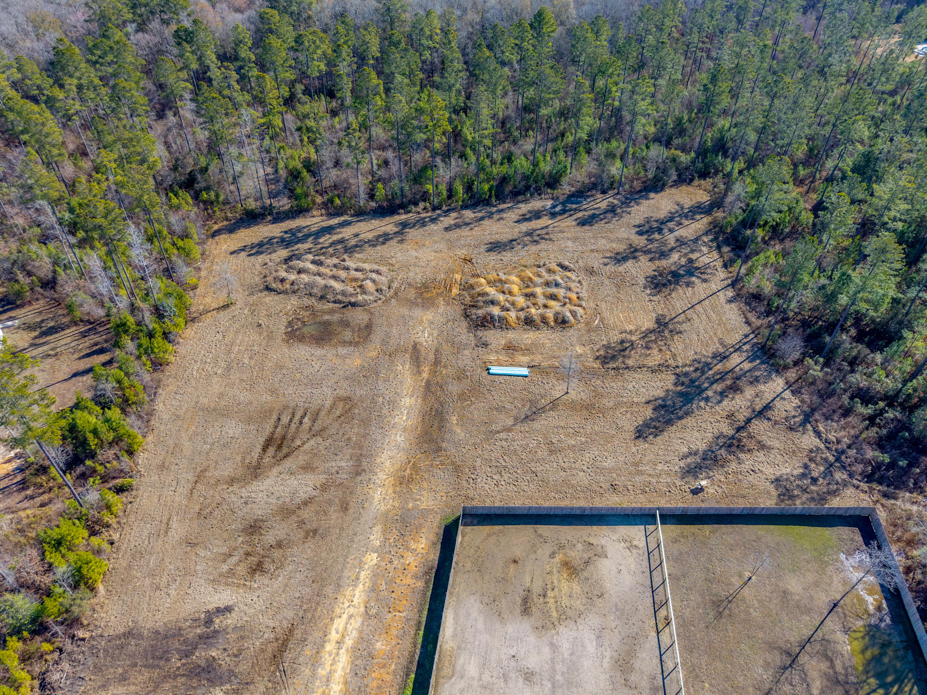 V/l Calamus Pond Road Summerville, SC 29486 - Photo 10 of 34 0 Calamus Pond Rd
