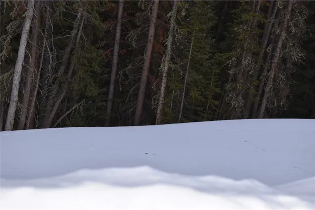 $199,000 | 404 Carroll Lane, Breckenridge, CO 80424