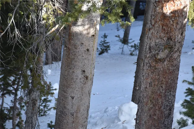 $199,000 | 404 Carroll Lane, Breckenridge, CO 80424