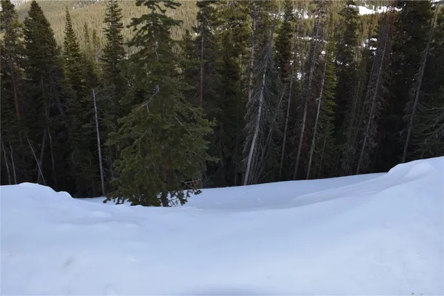 $199,000 | 404 Carroll Lane, Breckenridge, CO 80424