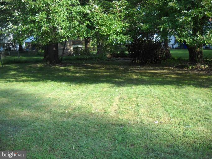 3502 Napier Street Silver Spring, MD 20906 - Photo 3 of 7 Back yard