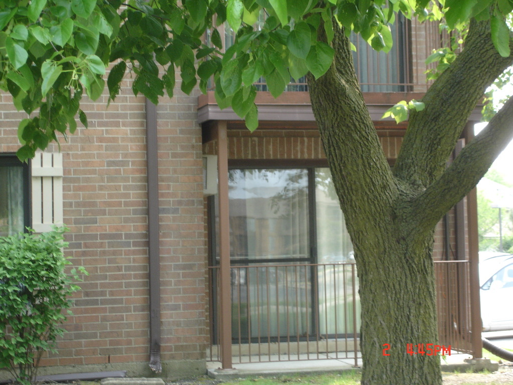 708 Briar Hill Lane, Unit 2 Addison, IL 60101 - Photo 7 of 14