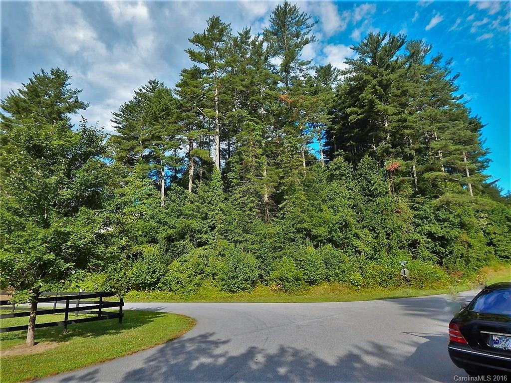 Lot 48 New Castle Road Brevard, NC 28712 - Photo 8 of 13 Gallery Image 8