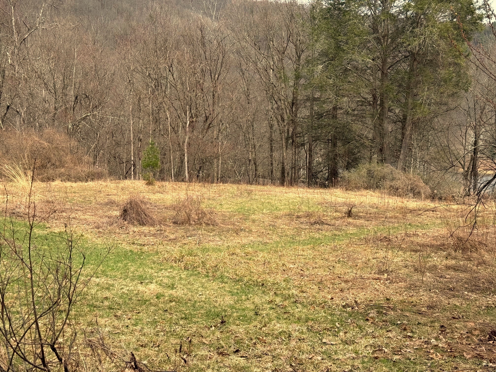 2522 Bouchouxville Road Hancock, NY 13783 - Photo 39 of 50