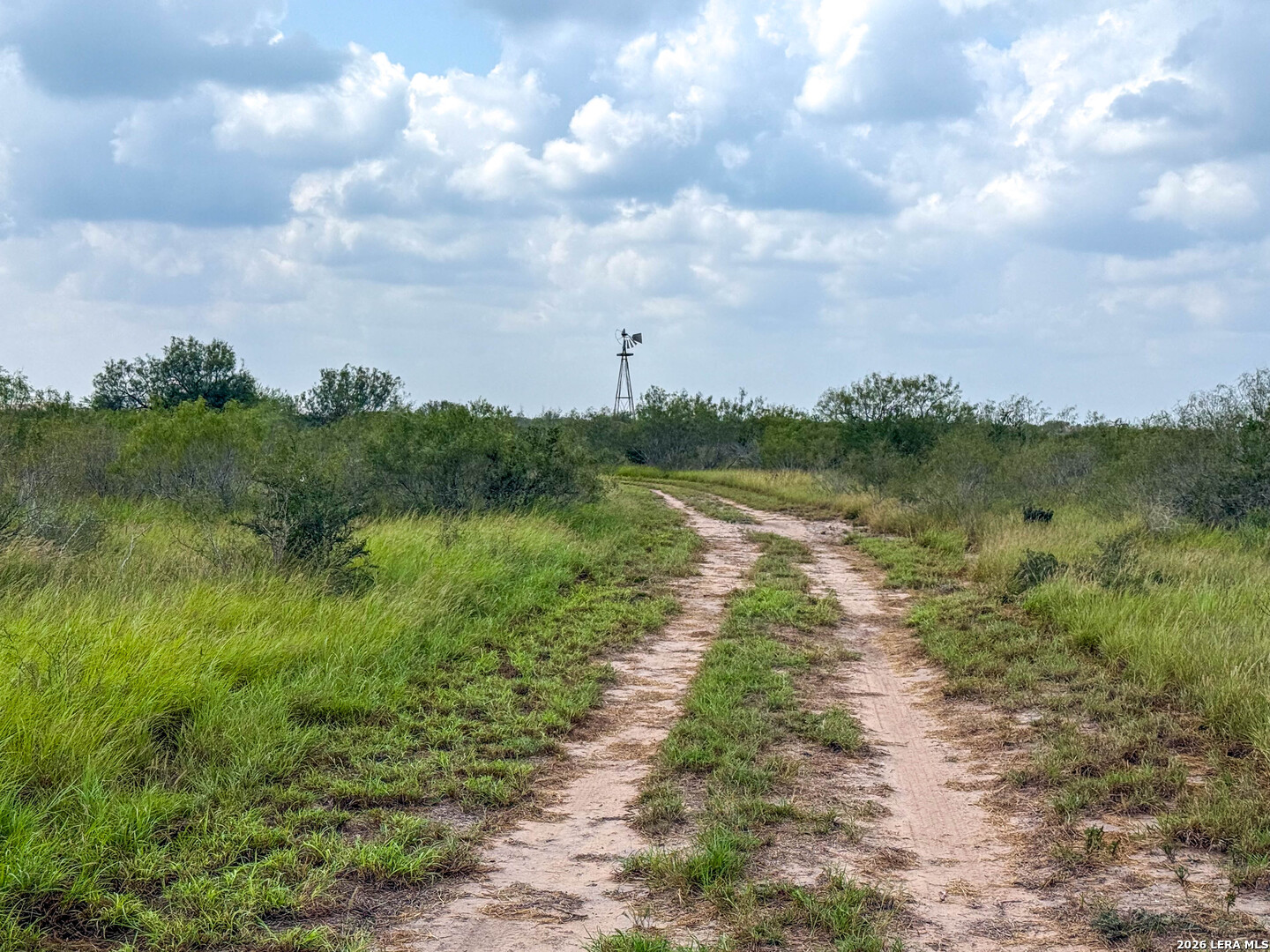 50 Ranch Road Realitos, TX 78376 - Photo 24 of 33