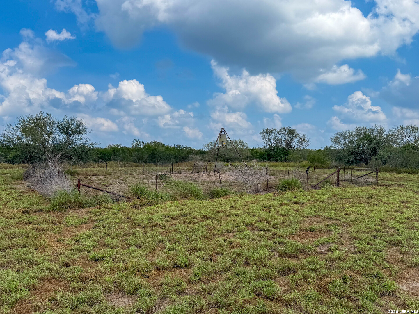 50 Ranch Road Realitos, TX 78376 - Photo 27 of 33