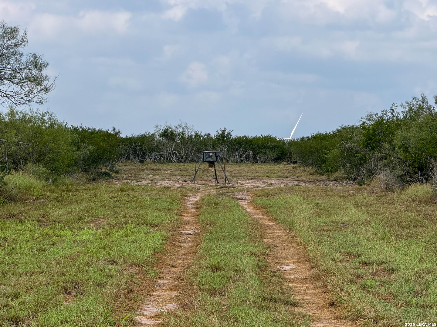 50 Ranch Road Realitos, TX 78376 - Photo 28 of 33