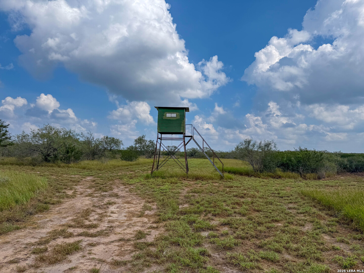 50 Ranch Road Realitos, TX 78376 - Photo 29 of 33