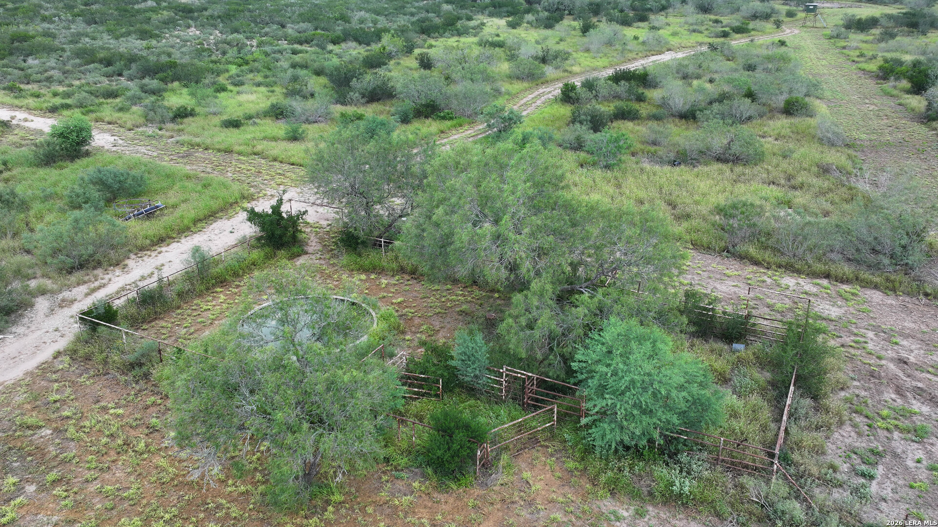 50 Ranch Road Realitos, TX 78376 - Photo 8 of 33