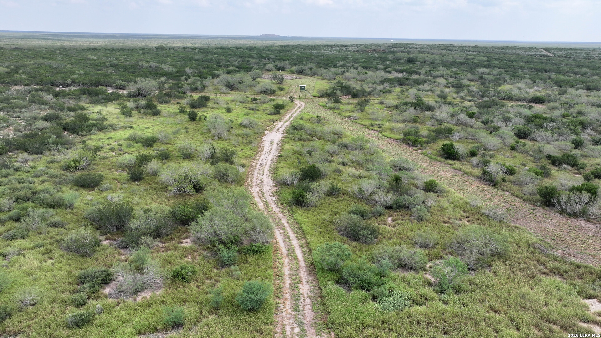 50 Ranch Road Realitos, TX 78376 - Photo 10 of 33