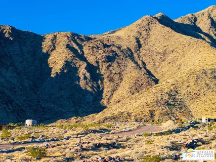 a view of a backyard with plants