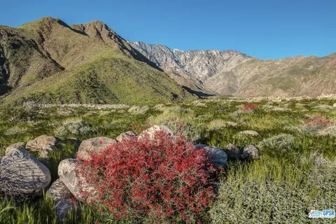 a view of a mountain in the distance