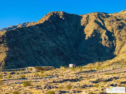 a view of a dry yard with trees