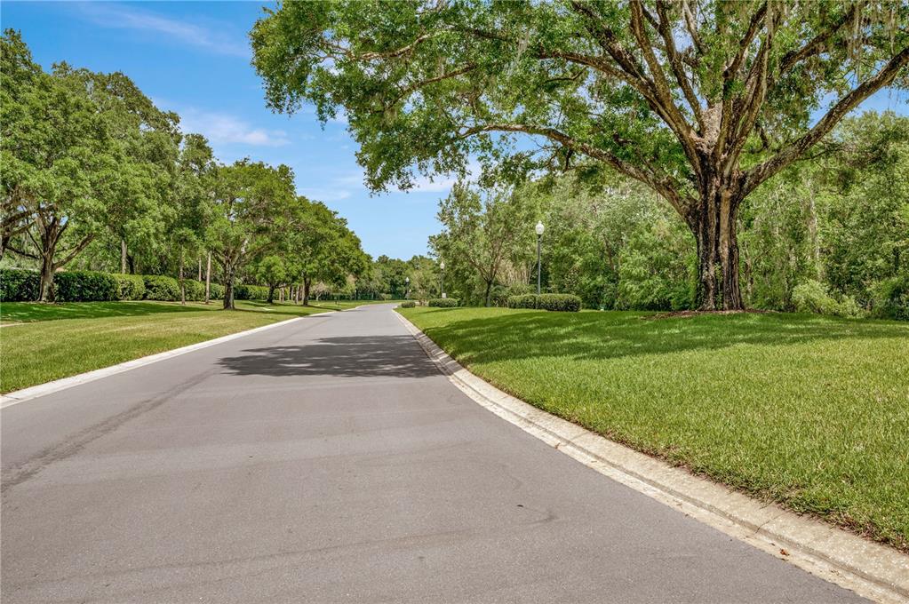4809 Willow Ridge Terrace Valrico, FL 33596 - Photo 45 of 46 Gallery Image 45