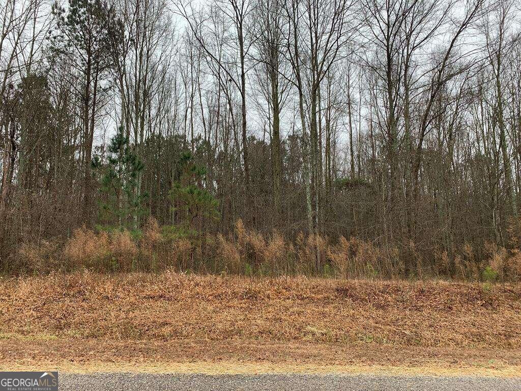 0 Co Rd 502 Graham, AL 36263 - Photo 1 of 1 Gallery Image 1