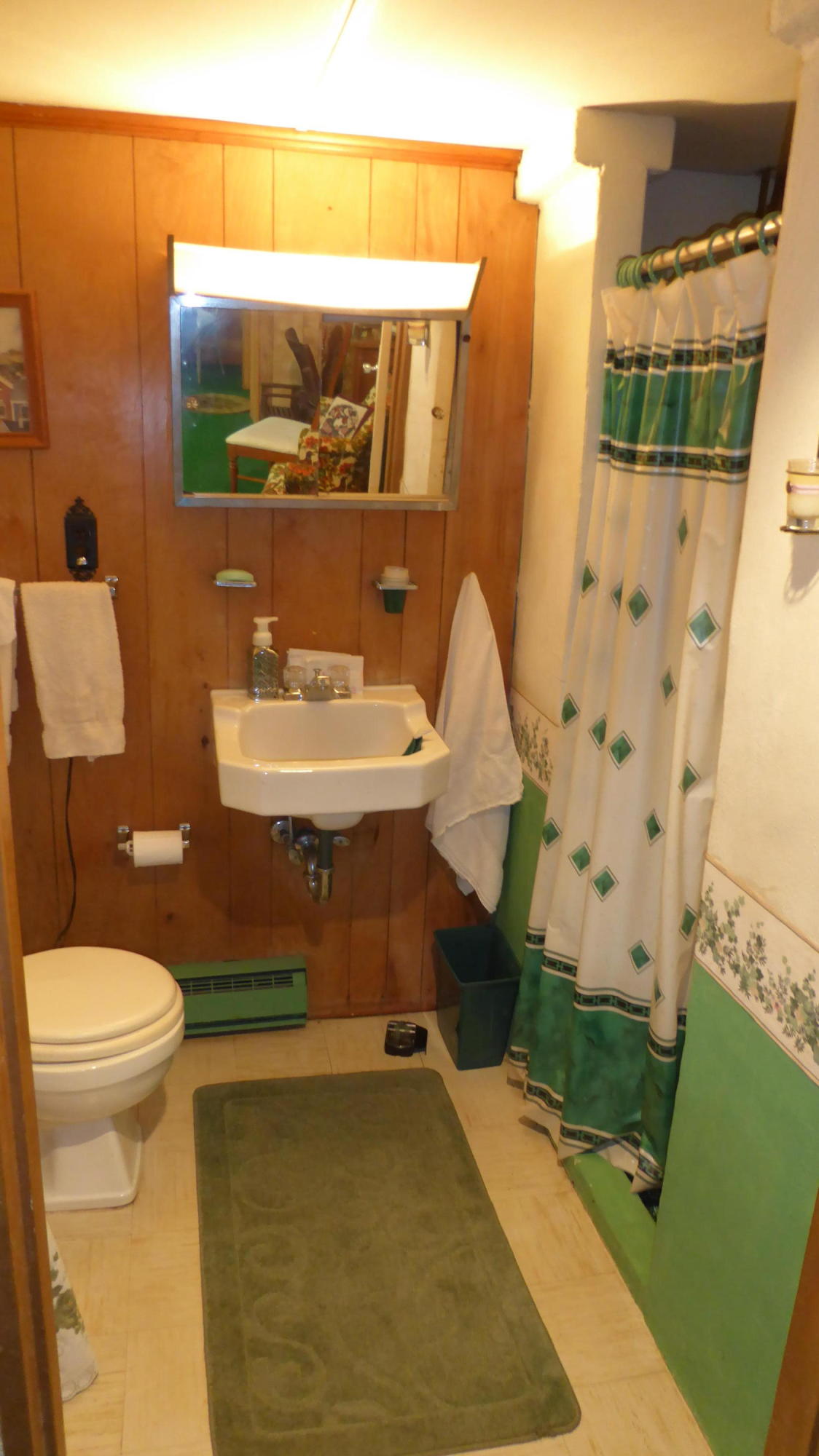 3945 Pleasant Hill Road Rocky Mount, VA 24151 - Photo 15 of 50 15 Lower Level Bath (1)