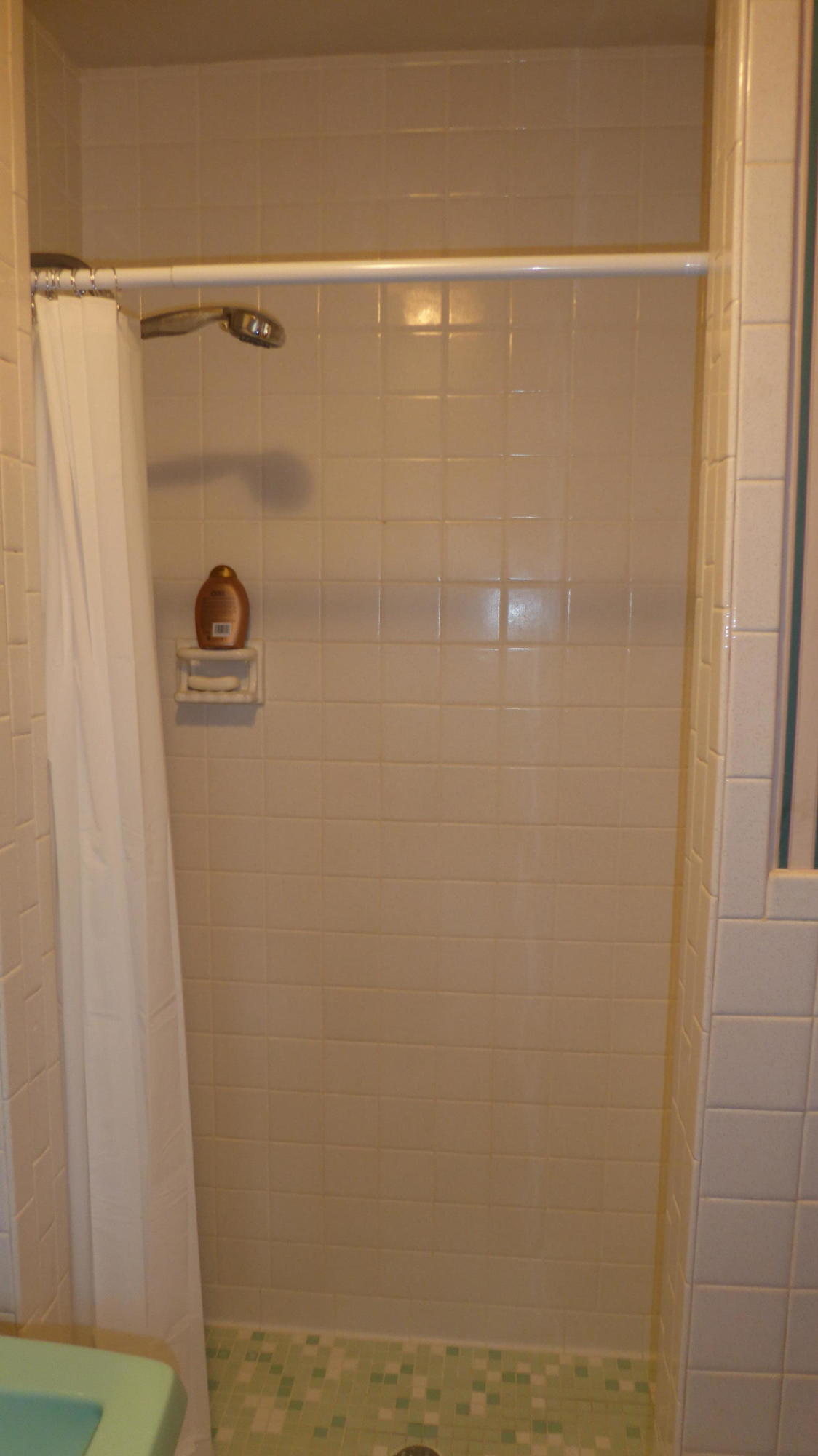 3945 Pleasant Hill Road Rocky Mount, VA 24151 - Photo 29 of 50 29 Master Bath (2)