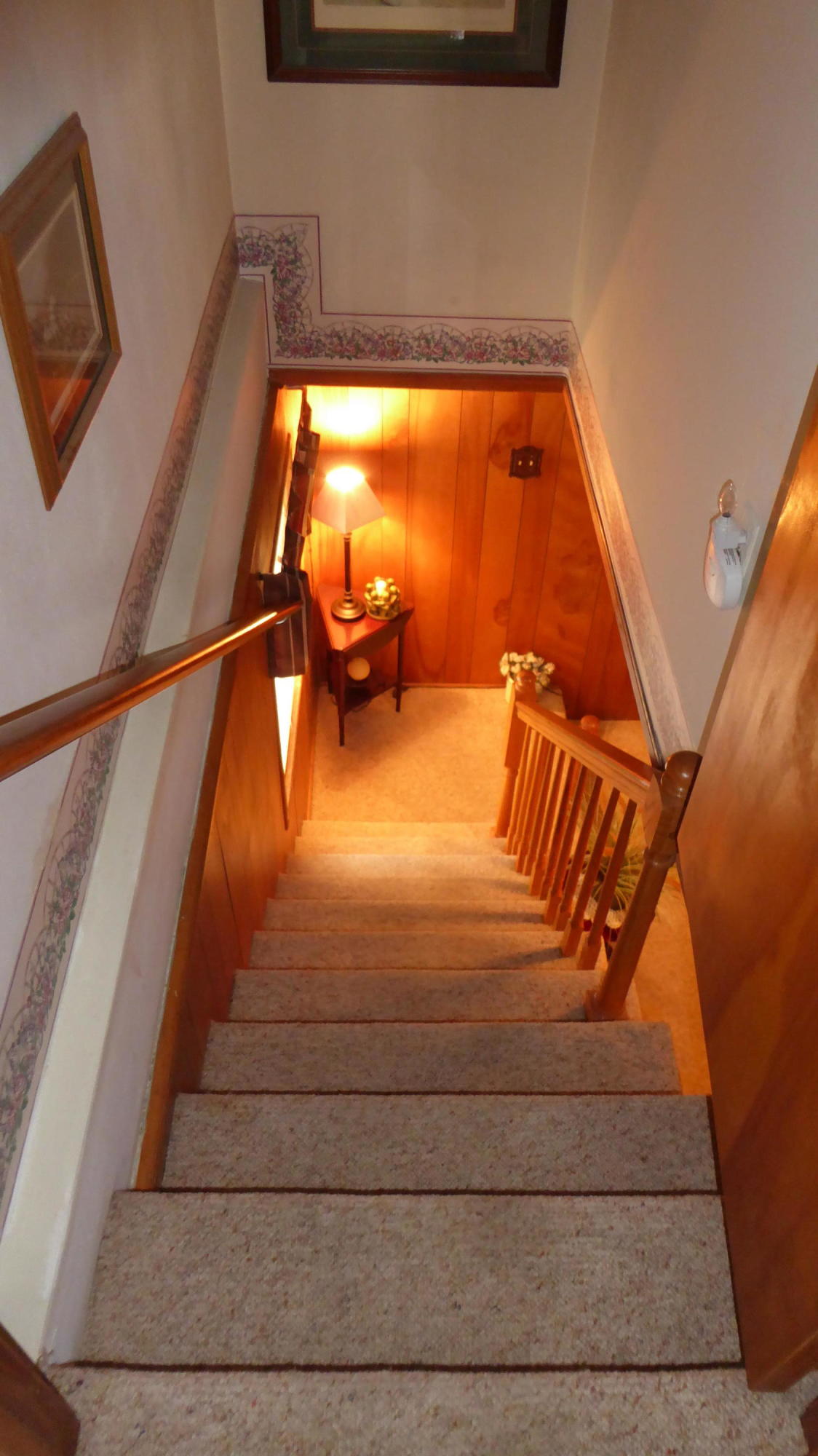 3945 Pleasant Hill Road Rocky Mount, VA 24151 - Photo 36 of 50 36 Stairs to Lower Level