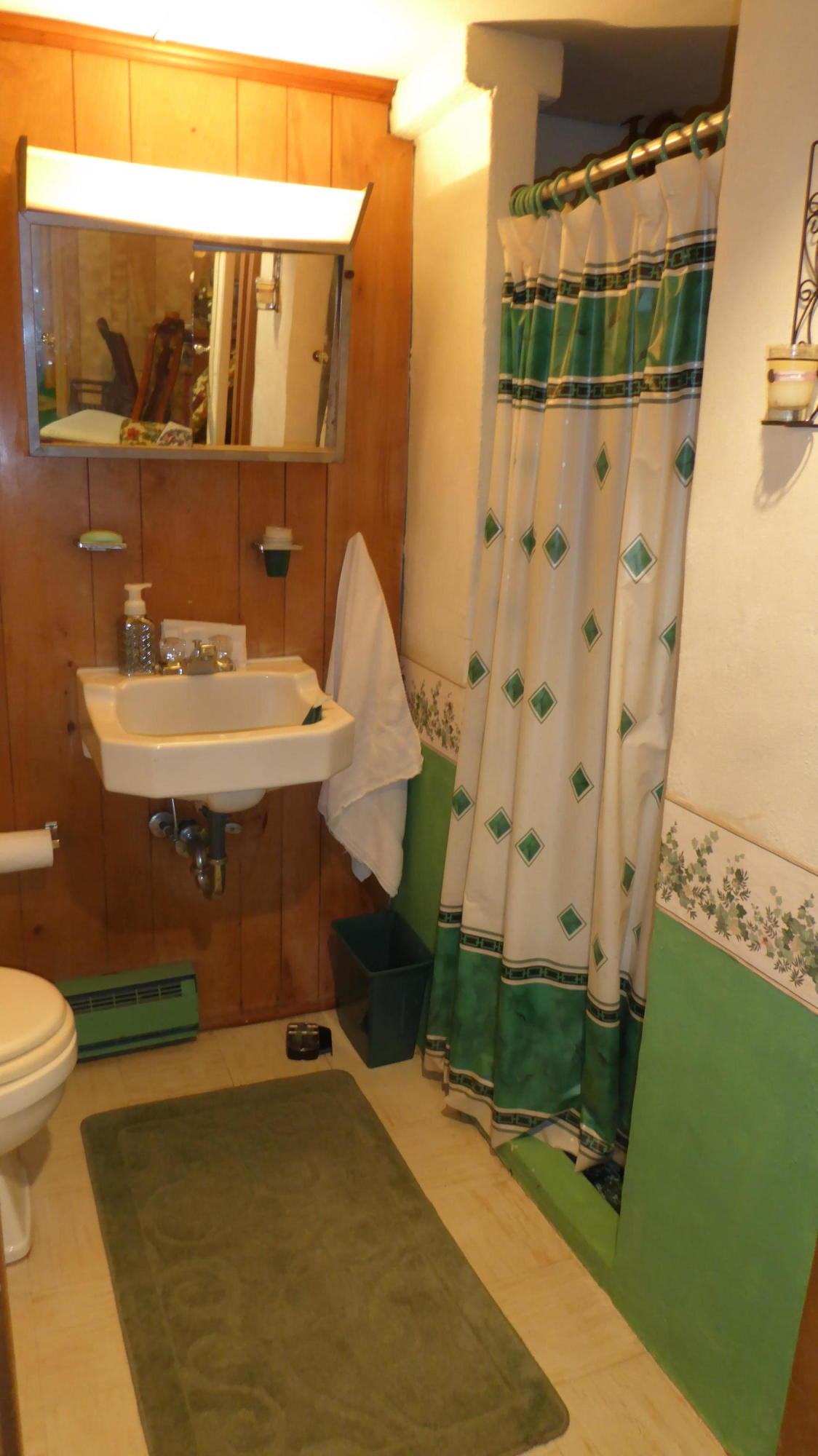 3945 Pleasant Hill Road Rocky Mount, VA 24151 - Photo 44 of 50 44 Lower Level Bath (3)
