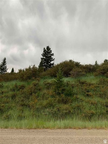 155 Caribou Road Soda Springs, ID 83276 - Photo 3 of 6 View of undeveloped land