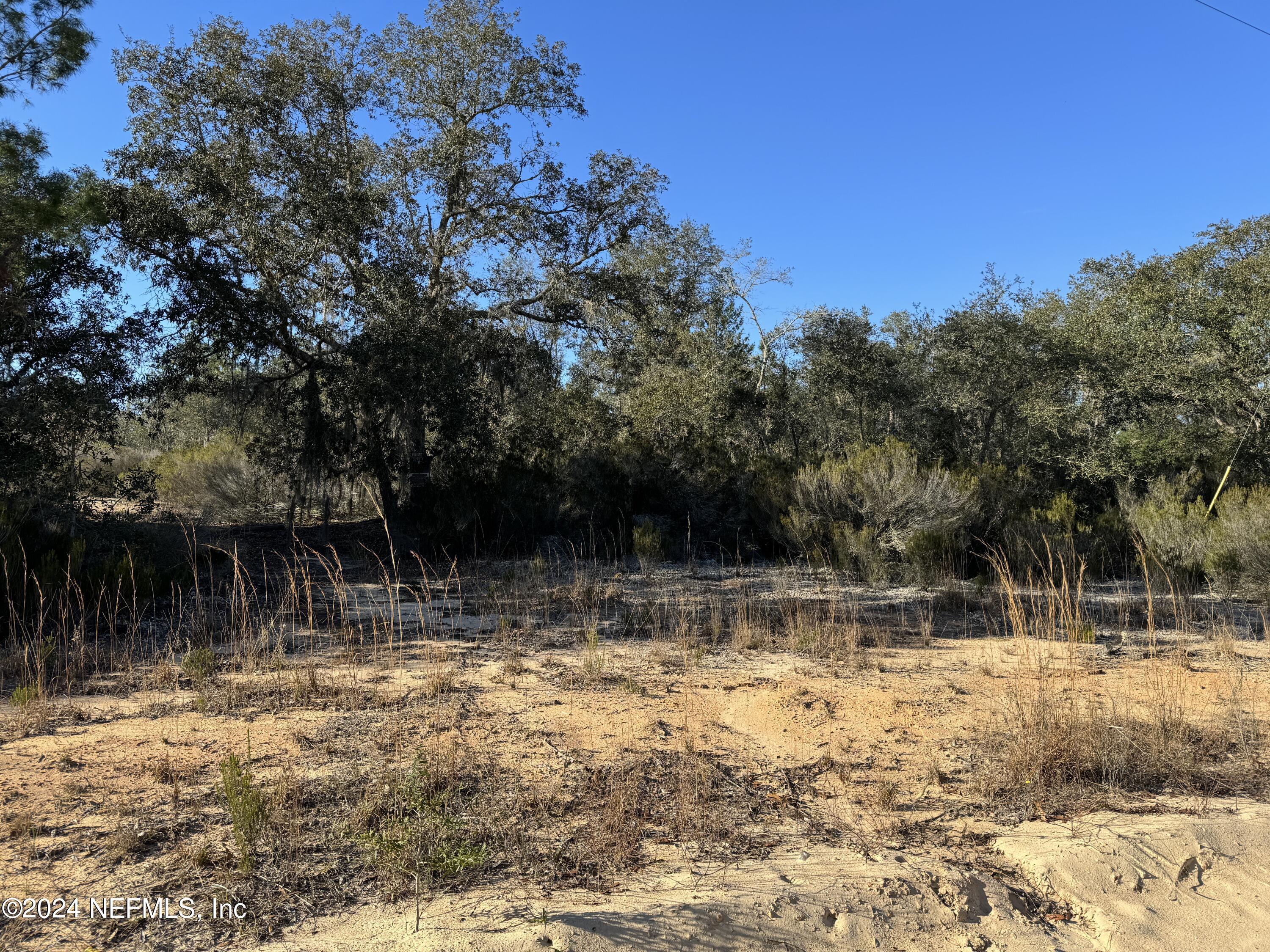 0 Lake Lucy Circle Interlachen, FL 32148 - Photo 9 of 10 a view of a yard with a tree