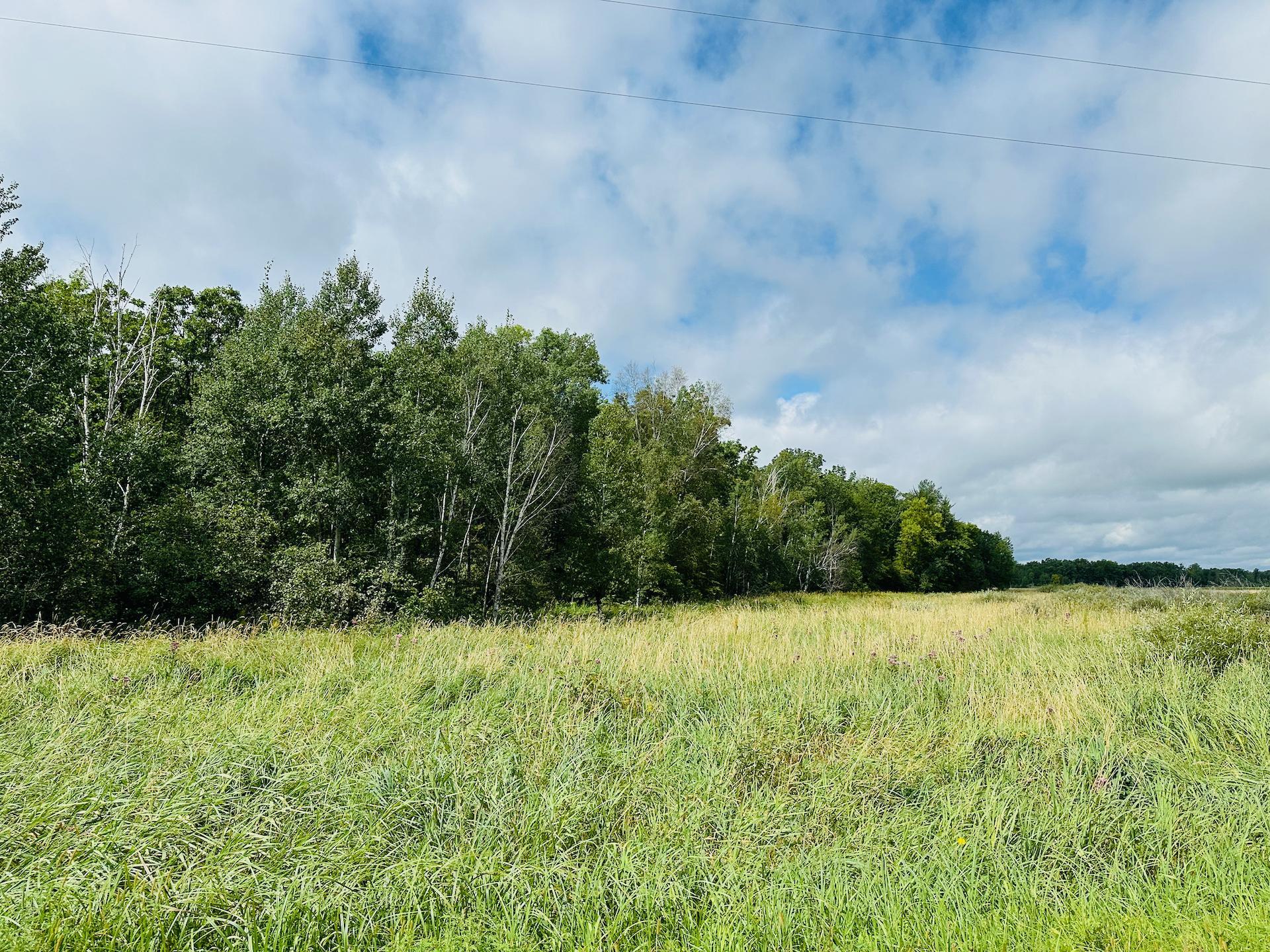 Xxx 330th Street Onamia, MN 56359 - Photo 5 of 9