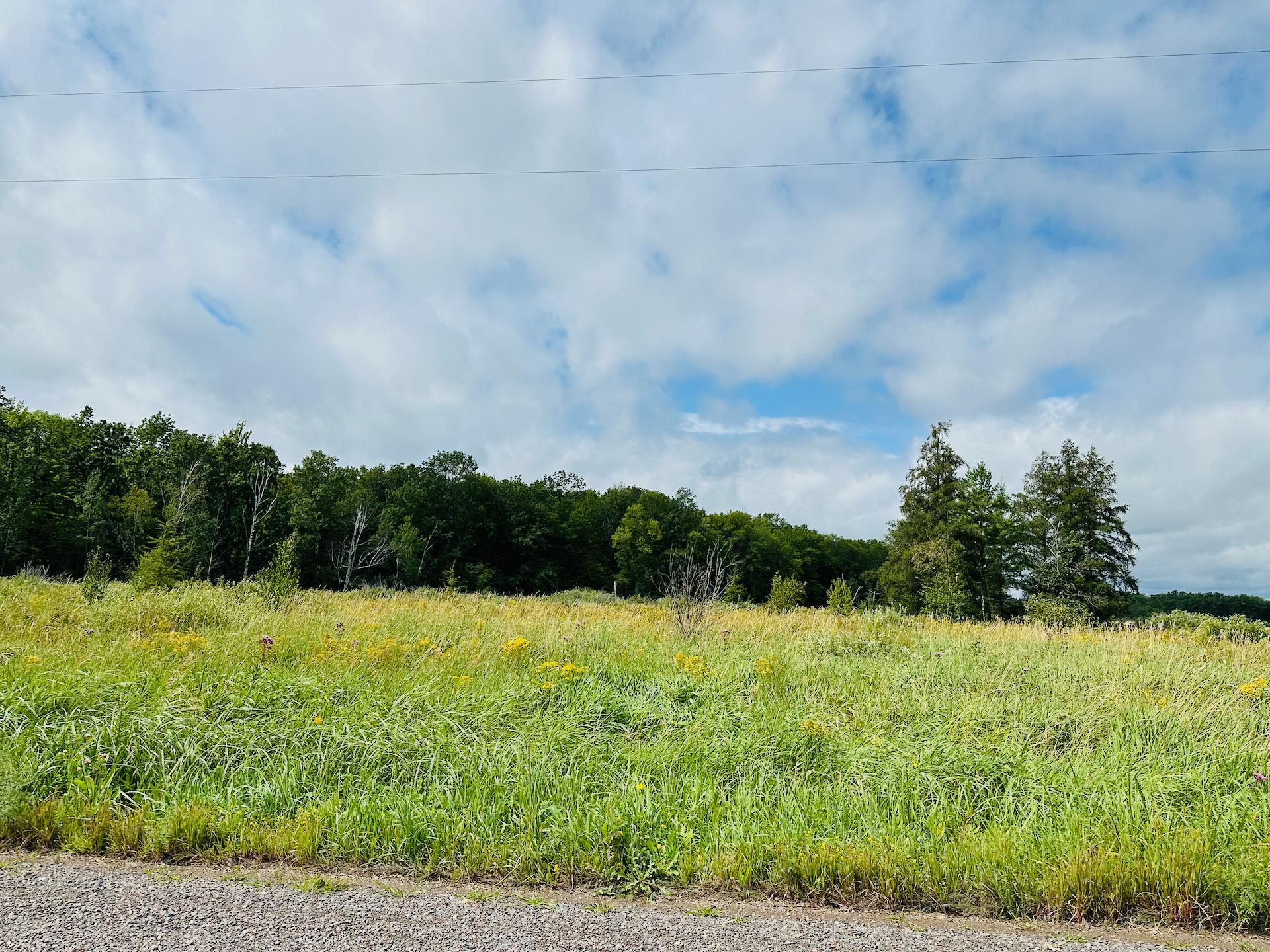 Xxx 330th Street Onamia, MN 56359 - Photo 7 of 9