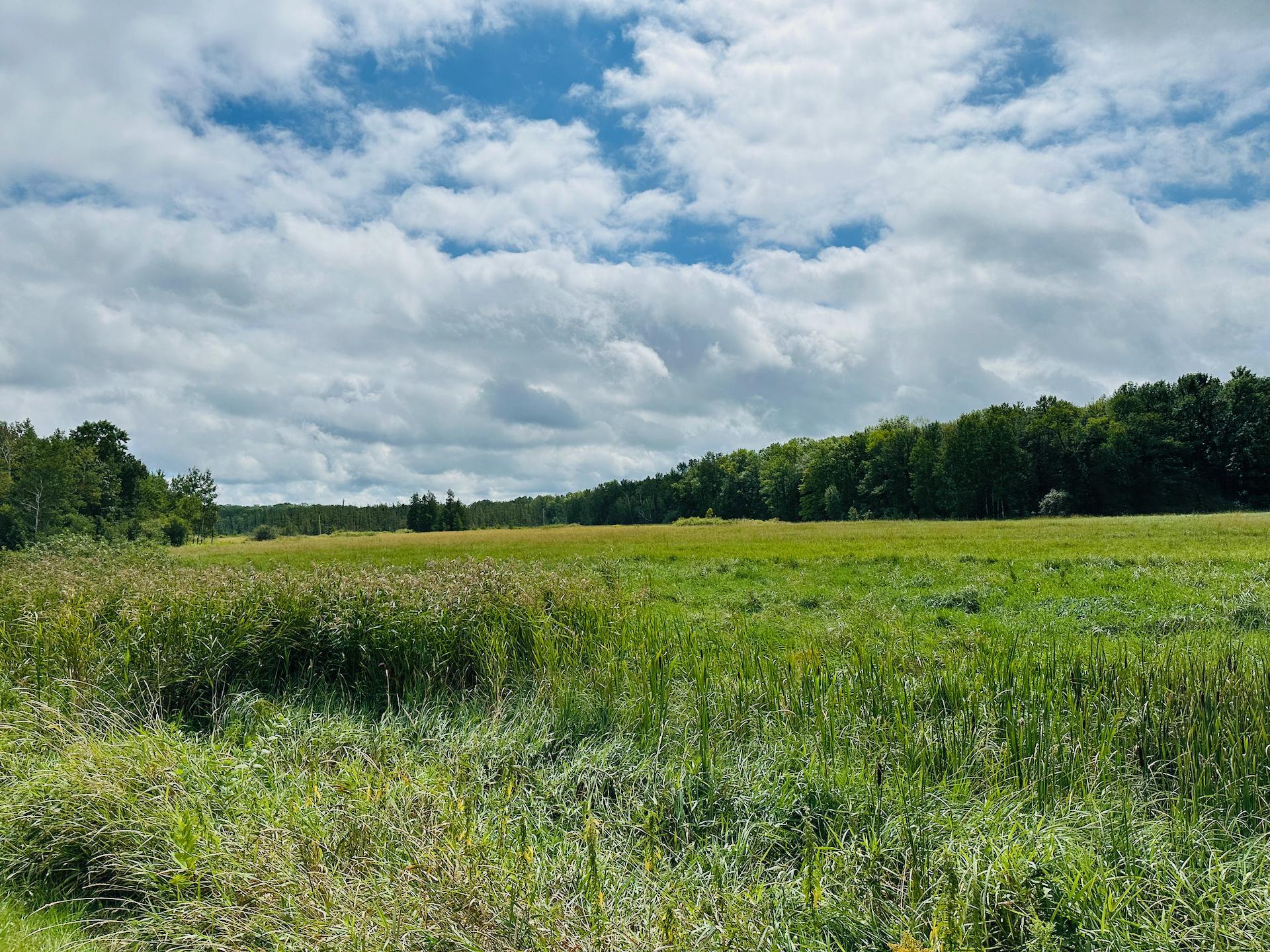 Xxx 330th Street Onamia, MN 56359 - Photo 8 of 9